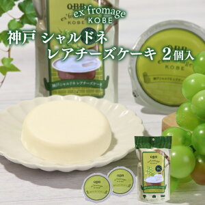 _˃Vhl A`[YP[L 2 GNXt}[W_ Zbo^[   `[YP[L Jbv AȓyY ʔ lC LO  Mtg v[g _˓yY QBB 