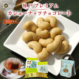 _˃v~A JV[ibc `R[g L ( _ˍgt ) v[glC LO ʔ E     XC[c 蕨  mَq lC e 