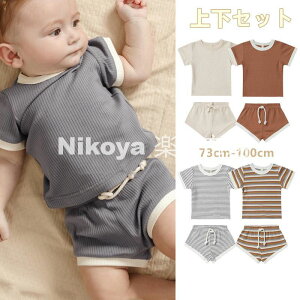 xr[ ZbgAbv ㉺Zbg q tVc  LbYn[tpc Y{ ؍q ĕ   ǂ Ԃ gbvX {gX pcZbg [EFA 