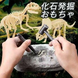 送料無料 知育玩具 おもちゃ 恐竜発掘キット 恐竜おもちゃ 恐竜 骨格標本 骨格組立 骨 子供 おもちゃ 誕生日ギフト プレゼント 知育おもちゃ 知育 子供 地質学 プレゼント ギフト自由研究 誕生日 プレゼント