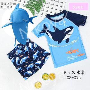  LbY xr[ j̎q UV΍ xr[bv Ԃ XC~O ۉ p[X  ₷ ǂ 킢 I[C bVK[h tBbglX 