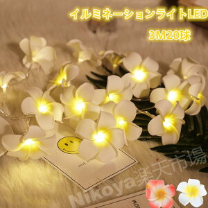 C~l[VCgLED C~l[V Cg 3M 20 Lv d d eg  XgOCg WG[Cg K[hCg fR[VCg C[Cg 