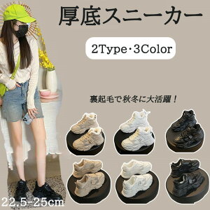 Xj[J[ fB[X N  V[Y Xj[J[ t  H ~ _bh V[Y EH[LOV[Y [Jbg ^C ₷ y V[Y ̈ ^ ʋ ʊw 