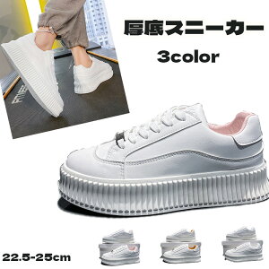 Xj[J[ fB[X   V[Y Xj[J[ _bh V[Y EH[LOV[Y [Jbg ^C ₷ y V[Y gAbv C ̈ ^ ʋ ʊw 