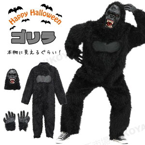 nEB RXv RXvߑ RX`[ S   fB[X Y lp RXv ϐg     | LN^[ l  p[eB[ w