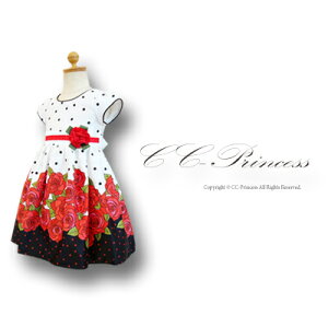 yq^CcT[rXzwhbg[Y  s[XhXiGD-238jx ̎qA LbYA hXA s[XA tH[}hXA \A A oA hbgA 80E90E100 yCC