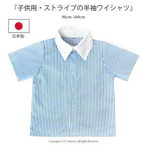  {wqpENbNVci80cm-160cmjST-008xXgCv @zCg@XN[ u[ Vc  j̎q q tH[} LbYtH[} CVc  @