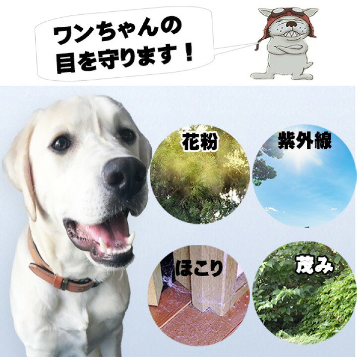 市場 犬用 ペット トイプードル 黄色 怪我防止 赤 青 ミニチュアダックス ドッグゴーグル サングラス ピンク 白 車酔い対策 犬 小型犬用 ゴーグル 黒 紫外線対策