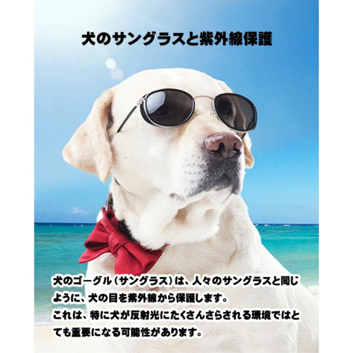 楽天市場 犬ゴーグル 猫ゴーグル ペットゴーグル ドッグゴーグル 犬 小型犬 猫 ペット ゴーグル メガネ サングラス 眼鏡 目の 怪我 病気 紫外線 対策 Uvカット 散歩 トイプードル チワワ ツーリング ドライブ バイク 自動車 白 黒 ミラー クリア レンズ 定形外郵便発送で
