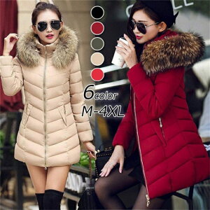 R[g _ER[g fB[X  _EWPbg 傫TCY t@[t AE^[ H~