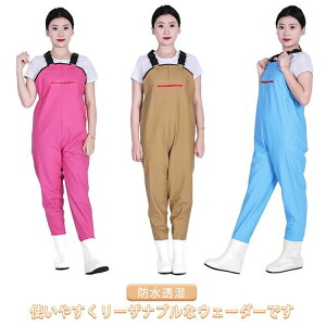 |Pbg fB[X ނ h EF[_[ t h `FXgnC X[c Y ы `FXgnCEF[_[ p  _ ƒC O tC y