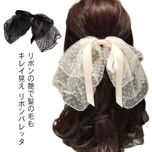 { [X ob^ Pn vZX 傫 IWi wAANZT[ `[ I[KW[ p[ h   wAANZ wAAW wAs