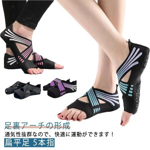 K\bNX A[` O T|[^[ KV[Y G 5{w ܐȂ ~ EH[NT|[^[ RAg[jO KEFA ̊ RAEH[N t oG _X