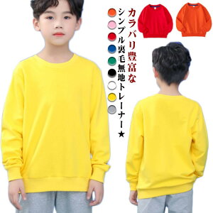 q g[i[ n LbY j̎q ̎q  100% Rbg  XEFbg xr[ t H ~ gbvX N[lbN Vv ʉ ʊw w  90 12 110 100