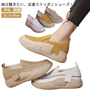 Xb| fB[X  Xb| Ƃ bV Xj[J[ T_ ʋC T}[ JWA  킢  RtH[gV[Y  T_