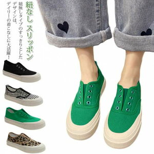 Xj[J[ fB[X RȂ Xb| C [Jbg V[Y JWA LoX K ₷ ɂ wlC  Vv 킢 X T_ tbg ʊw