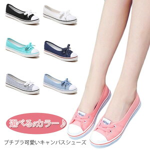 Xb| fB[X Xj[J[ V[Y RȂ  킢 C Vv ؂ tbg [Jbg LoX ɂ ₷ s JWA