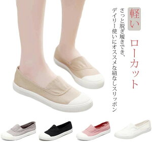 RȂ Xb| Xj[J[ fB[X C [Jbg V[Y JWA LoX T_ s K ₷ ₷ ɂ  o ʊw wlC