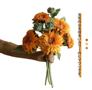 tFCNt[ Ђ܂ q}  A CeA  H  ԑ Be p z[ 뉀 Lb` ϗtA lHA ItBX