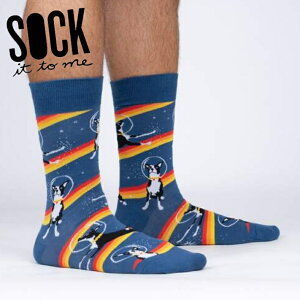 _gő1000~OFFN[|zz^y[֑Ήz \bNX Y C    F N[\bNX yAstro Puppyz MEF0507 Sock It To Me[\bN Cbg gD ~[] H ~