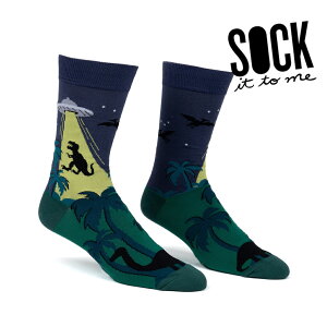 _gő1000~OFFN[|zz^y[֑Ήz \bNX Y C   F UFO N[\bNX ySee You Laterz Sock It To Me[\bN Cbg gD ~[] H ~