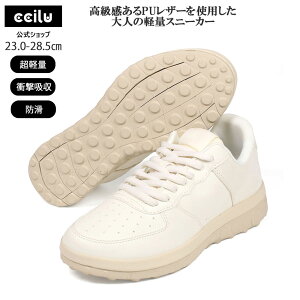 Xj[J[ Y fB[X y Ռz U\[ 炩 JWA EH[LOV[Y Ȃ C RtH[g  y  G y  AC{[ ccilu