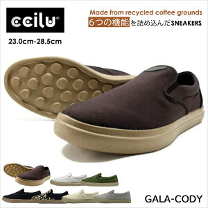 _gő1000~OFFN[|zz^Xb| Y fB[X RtH[gV[Y GALA CODY y  UVJbg ho hL ccilu(`) C U J̓ S JWA V[Y t