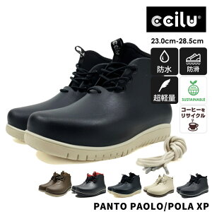 Cu[c Y fB[X CV[Y h Xj[J[ u[c TXeiu  uh JC Jp ʋ h  y cilu PANTO-PAOLO XP Ȃ C H ~