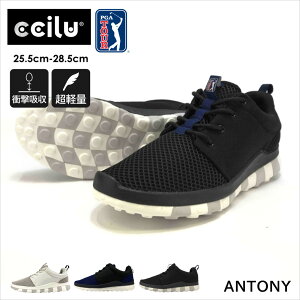 yP20{z_BLACKFRIDAYő1000~OFFN[|^y݌ɏzEH[LOV[Y Y y U Ռz Ȃ C Xj[J[ ubN zCg JWA  G y ccilu horiz