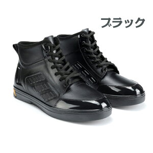 CV[Y Y j Cu[c Xj[J[ J̓ ̓ Jp Jp ɂ PVCf ɋ  AEghA h@\ h ~ J  ̌^ ₷