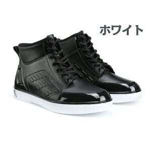 CV[Y Y j Cu[c Xj[J[ J̓ ̓ Jp Jp ɂ PVCf ɋ  AEghA h@\ h ~ J  ̌^ ₷