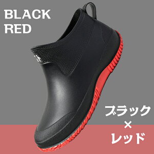 CV[Y Y fB[X CObY C JC h ̌^ ~ ₷ PVCf y y g₷ Cu[c ₷ ʋ ʊw rWlX X^CbV 