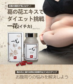 一花 (イチカ) 90粒（30日分）ダイエット サプリメント 痩せる 漢方 サプリ キキョウ 高麗人参