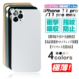 iPhone 11 Pro / Pro Max バックパネル 背面保護フィルム 着せ替えバックフィルム 背面フィルム アイフォン11 保護フィルム 背面用 フルカバー PET炭素繊維 送料無料