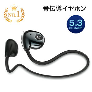 `Cz CXCz Bluetooth 5.3 ǂȂCz mCYLZO yAO }CN NAʘb Type-C[d 12ԒԎ쓮 e[N IC