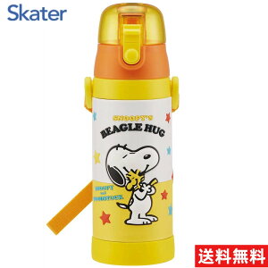 yyVX[p[SALEzyz yԌ聚10%OFFzXP[^[(skater) qp XeX   580ml Xk[s[ ۗp@qɗDyʃ^Cv ̎q j̎q ۗp 4D̃v