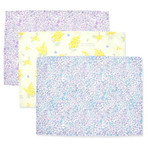 `}bg 25cm×35cm m[AC Ⴂ 3Zbg ݃t[Zbg qp itL wZ ct H `NX e[u NX H `}bg  w