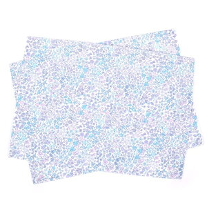 `}bg 25cm×35cm m[AC 2Zbg t[IAVX qp itL ct `NX e[u NX H `}bg  w wZ