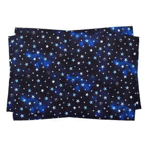 y110OFFN[|z`}bg 40cm×60cm m[AC 2Zbg X^[OVo[ qp itL ct `NX e[u NX H `}bg  