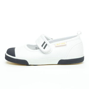 [X^[ C 㗚 ̈كV[Y wZ ct wZ w ct lCr[ CR ST13