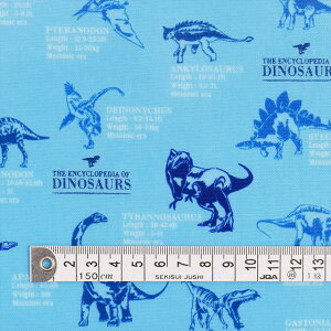 pp n ~l[g n  XJC j̎q }ӂւ悤 XJCu[ ~l[gi0.2mmjn