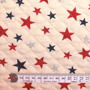 uAgX^[  LeBOn w  w ObY  j̎q