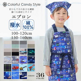 【15日限定 10％OFF】【夏割限定プライス】エプロン キッズ 男の子 120 三角巾セット 160 150cm 子ども用 かぶるだけ 三角巾 セット 男の子 140 150 キャラクター 100 子供 ゴム 幼児 小学生 かわいい 保育園 幼稚園 子ども おしゃれ 130 120 110 小学校 恐竜 電車