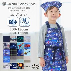 【24h限定 5％OFF】【〜40%OFF】エプロン キッズ 男の子 120 三角巾セット 160 150cm 子ども用 かぶるだけ 三角巾 セット 男の子 140 150 キャラクター 100 子供 ゴム 幼児 小学生 かわいい 保育園 幼稚園 子ども おしゃれ 130 120 110 小学校 恐竜 電車