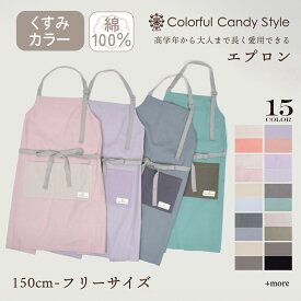 エプロン 150〜170 三角巾付 2点セット 150cm-170cm くすみカラー くすみ無地 エプロン 三角巾 家庭科 調理実習 料理 小学生 高学年 中学生 高校生 大人用 150 170 小学校 中学校 高校