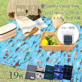 【最大1432円OFF限定特価】レジャーシート 厚手 コンパクト 1人用 2~3人用 防水 子供 遠足 大きい 折りたたみ ミニ 小学生 60x90 60×120 幼稚園 キッズ おしゃれ ピクニックシート 男の子 アウトドア 運動会 レジャー 折り畳み 敷物