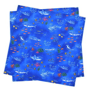 `NX HitL 45cm×45cm  m[AC 2Zbg u[O[ qp itL `}bg `NX ٓ H `}bg w wZ