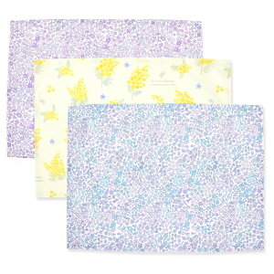 `}bg 25cm×35cm m[AC Ⴂ 3Zbg ݃t[Zbg qp itL wZ ct H `NX e[u NX H `}bg  w