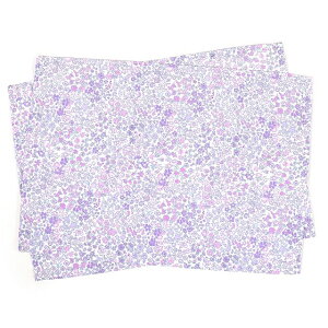 `}bg 25cm×35cm m[AC 2Zbg t[~Xg qp itL ct `NX e[u NX H `}bg  w wZ