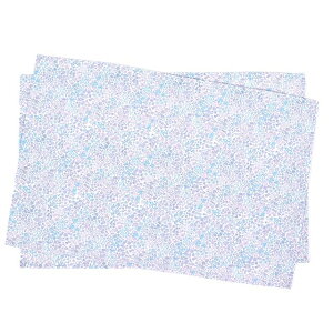 `}bg 40cm×60cm m[AC 2Zbg t[IAVX qp itL ct `NX e[u NX H `}bg  w wZ